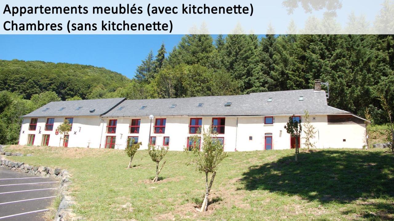 Gite Du Haut Cantal - Appartements Meubles Avec Kitchenette Et Chambres Sans Kitchenette Condat  Exterior photo